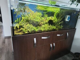 Predam akvarium 500 l.