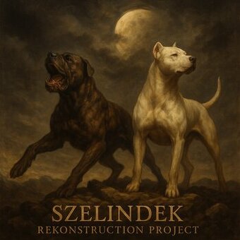 Cane Corso