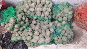 Domáce zemiaky Red Anna - 1