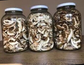 Sušene Dubáky alebo mix