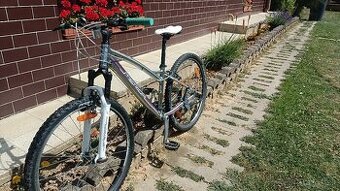 Damsky ( dievcensky bicykel)