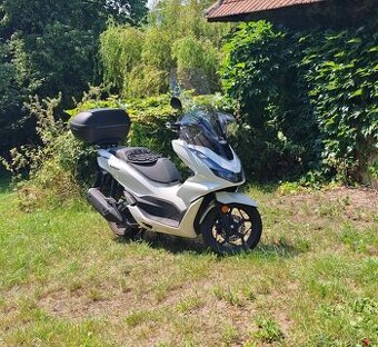 Honda pcx 125