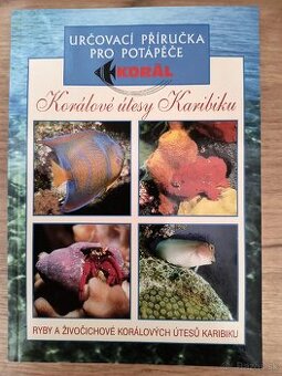 Koralove útesy Karibiku