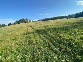Predaj | pozemok v Snežnici