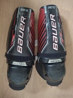 Predam hokejove chranice