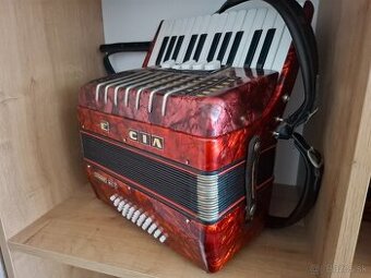 Akordeon DELICIA JUNIOR XII,32 basovy