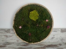 Predám obraz z machu: Kruh s kvetmi (Ø40 cm) - 1