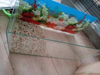 Akvarium z vybavením
