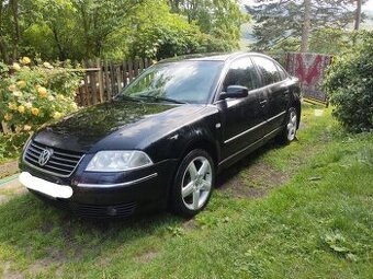 2002 Volkswagen Passat B5.5 4motion