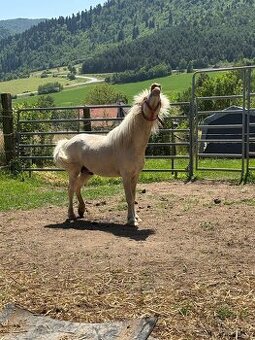 Pripúšťanie Pony