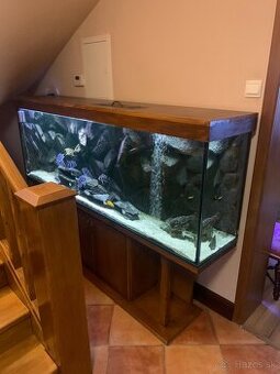 Akvarium