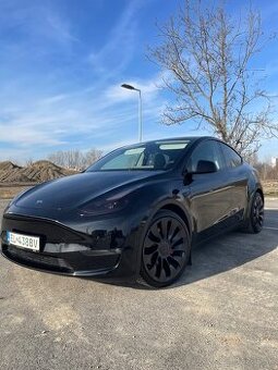 Predam Tesla model Y performance