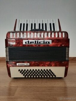 Akordeón Delicia Junior 24