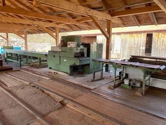 Dvouhřídelová rozmítací pila s dopravíky