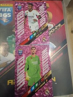 Fotbalove karticky - 1