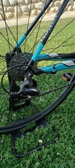 Wilier trestina model Luna