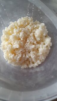 Mliecny kefir