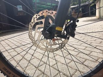 FOCUS WHISTLER 3.9 29" 2022/23