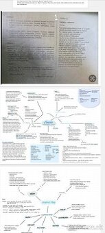 Vypracované maturitné zadania zo Slovenského jazyka a litera