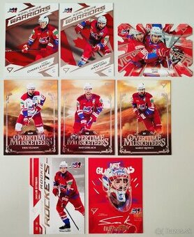 Hokejové kartičky TIPOS EXTRALIGA 2024/2025  HK 32 L.MIKULÁŠ