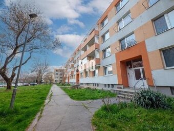 Zariadená garsónka s veľkou pivnicou - Nitra, Chrenová