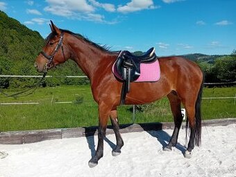 Kobyla, furioso, 5r.