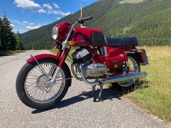 Jawa Bizon