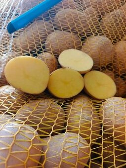 ZEMIAKY SORAYA kvalitné žlté konzumné