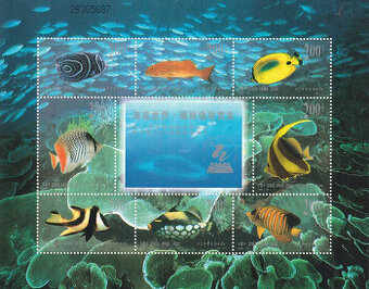 Čína blok koralový útes