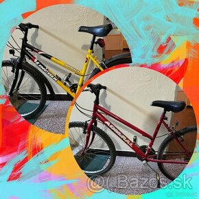 Dámsky / dievčenský horský bicykel 2ks