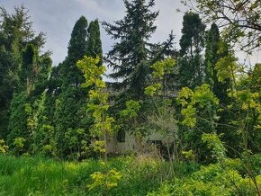 Takmer 30á pozemok v obci Šarkan pod lesom - 1