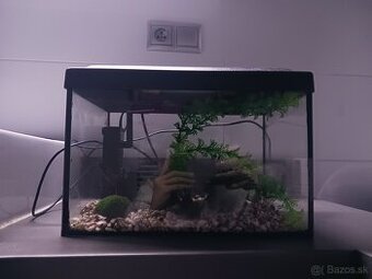 akvarium