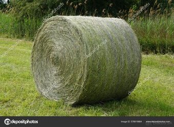 Kúpim seno 2x balíky,cenu ponúknite 🐎