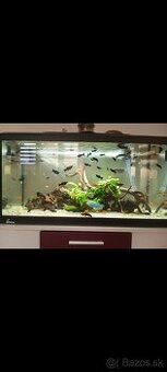 Akvarium