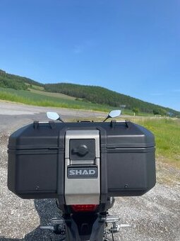 Shad Terra TR37