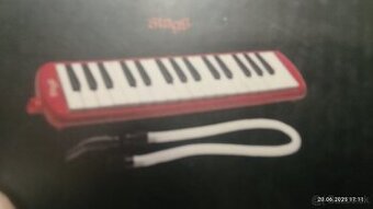 FUKACIA HARMONIKA