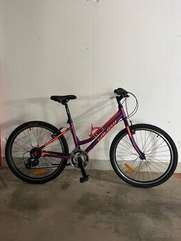 Dievčenský bicykel Galaxy Ruby 24"