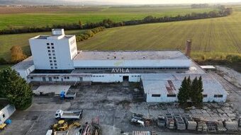 Na predaj: Multifunkčná priemyselná hala v Novom Meste nad V