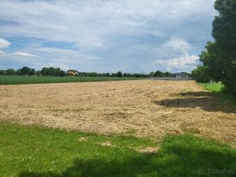 Predám pozemky 2x751m2 a 1x752m2 - 1