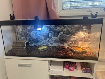 Terárium so skrinkou