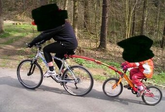 Trail Gator Vodiaca tyč pre detský bicykel