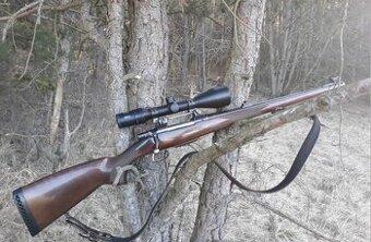 CZ 550 243win