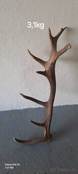 Parohy,zhody, trofeje