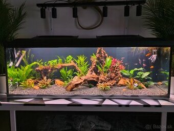Akvarium predaj - vymena
