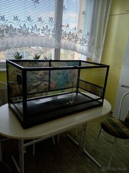 Terarium