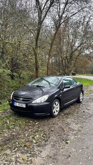 Peugeot 307CC 1.6 16V Benzín