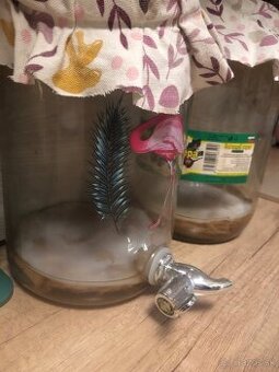 Kombucha - 1