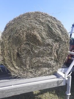 Lucerka seno