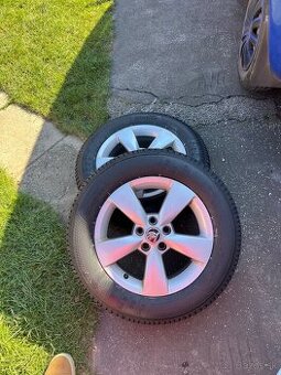 Disky 5x100 r15