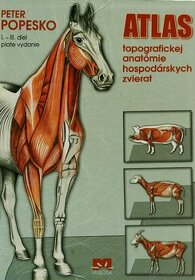 Atlas topografickej anatómie hospodárskych zvierat - Popesko
